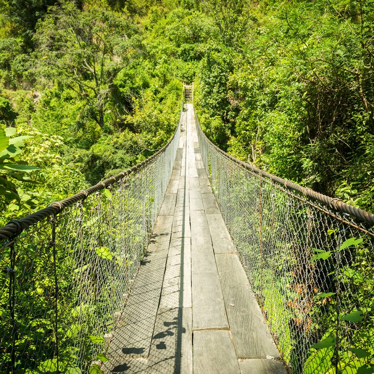Misyon, Vizyon ve Değerlerimiz