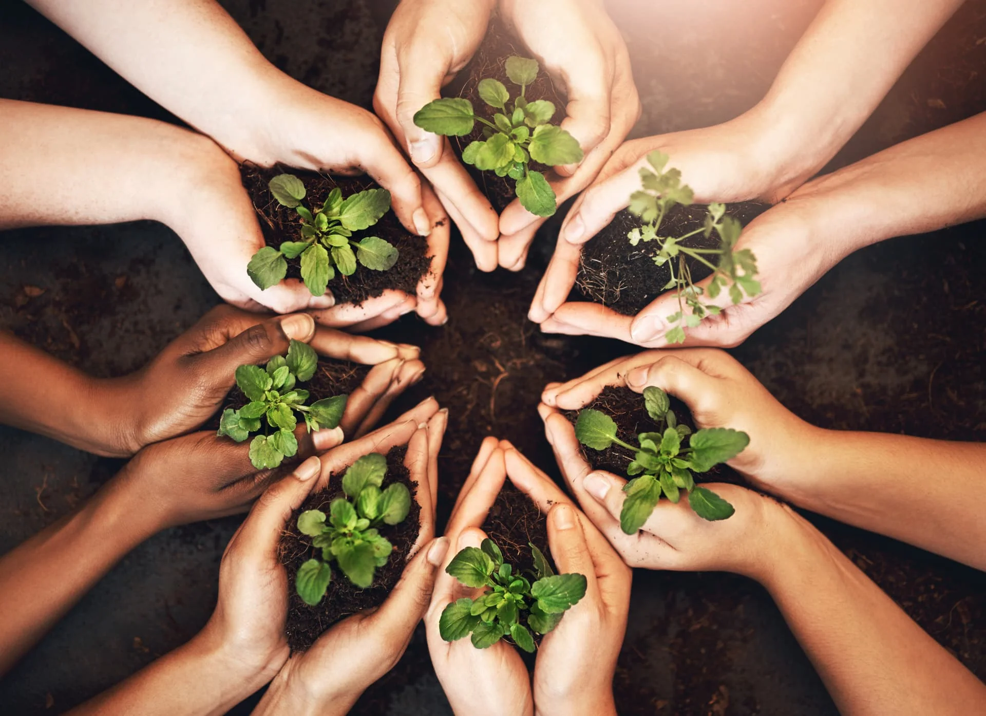 Quality, Safety and Sustainability are our focus.